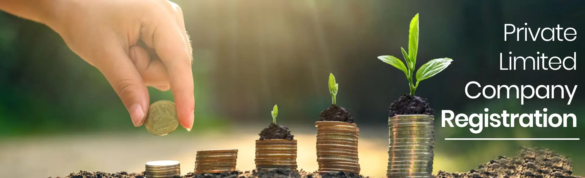Private Limited Company Registration