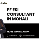 Business Consultant Agency(2)