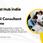 PF ESI Consultant in Pune PF ESI Consultant in Pune